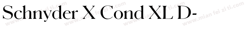 Schnyder X Cond XL D字体转换